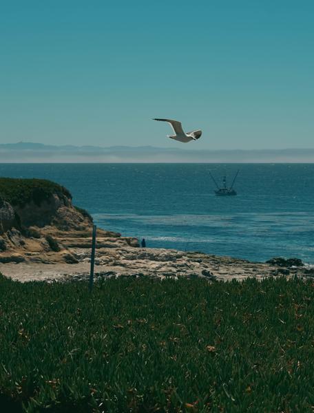 Customer photo 3 of 6. Click to open full size image.