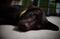 User submitted photo