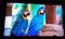 User submitted photo