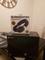 User submitted photo