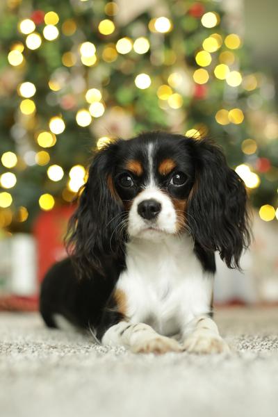 Customer photo 1 of 6. Click to open full size image.