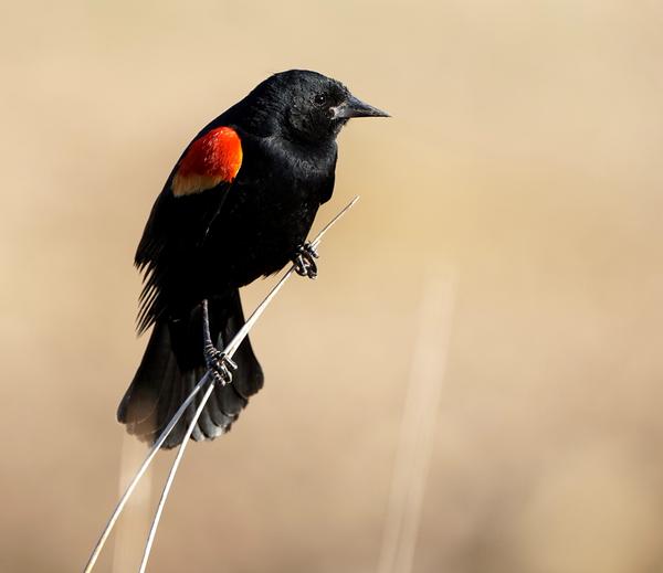 Customer photo 3 of 6. Click to open full size image.