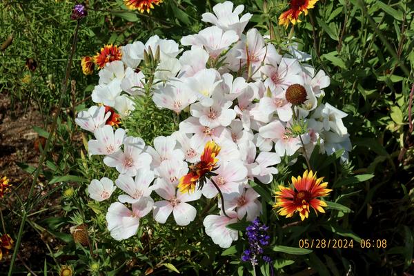 Customer photo 2 of 4. Click to open full size image.