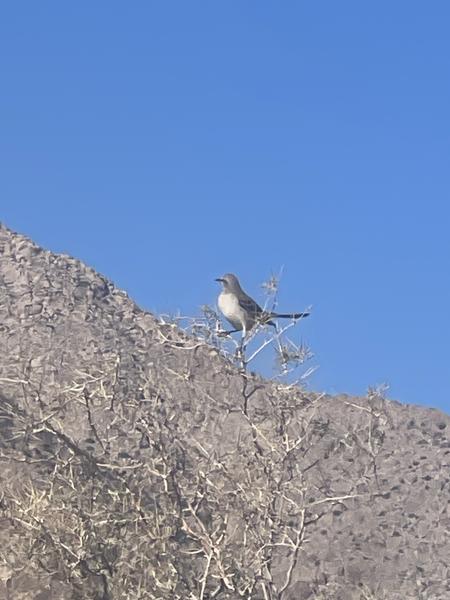 Customer photo 3 of 4. Click to open full size image.