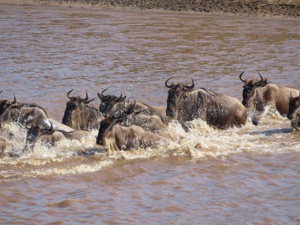 Customer photo 6 of 6. Click to open full size image.