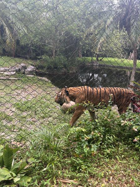 Customer photo 5 of 6. Click to open full size image.