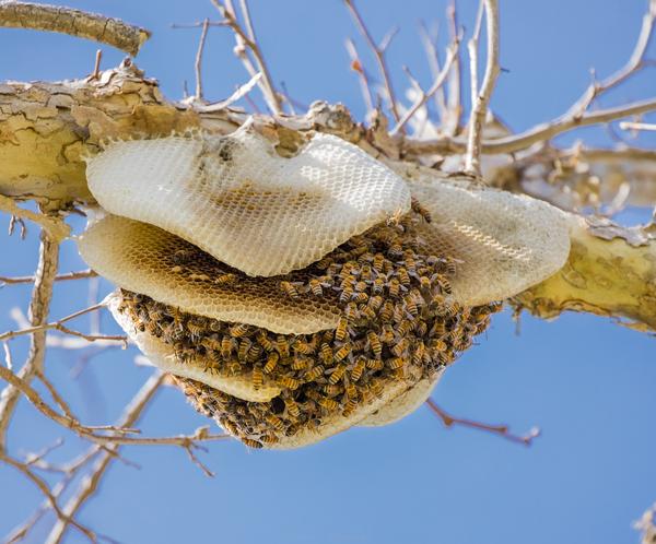 Customer photo 5 of 5. Click to open full size image.