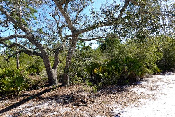 Customer photo 4 of 5. Click to open full size image.