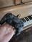 User submitted photo