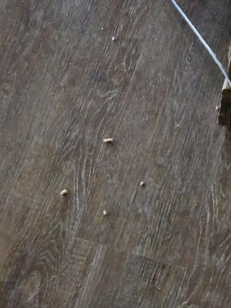 Customer photo 2 of 3. Click to open full size image.