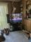 User submitted photo
