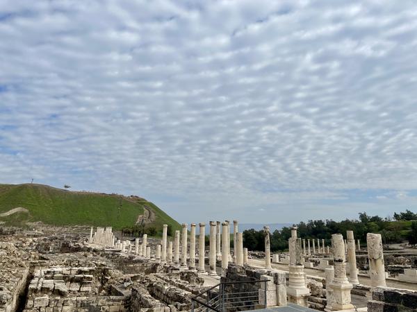 Customer photo 5 of 6. Click to open full size image.