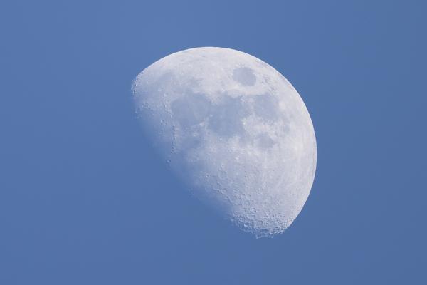 Customer photo 3 of 4. Click to open full size image.