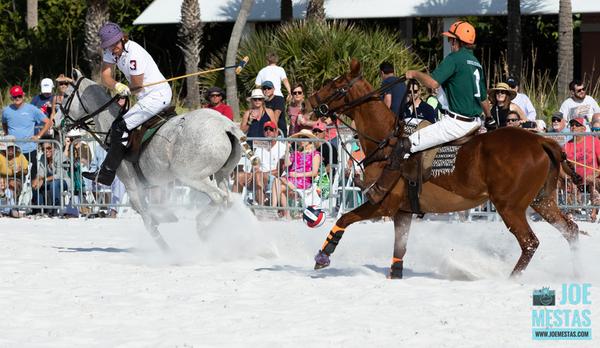 Customer photo 6 of 6. Click to open full size image.