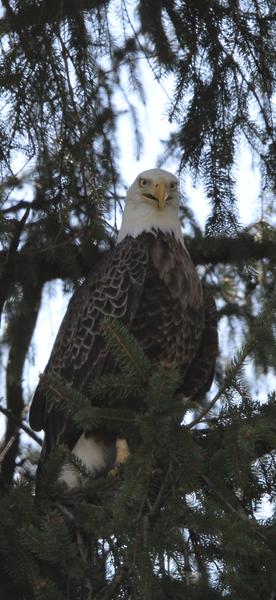 Customer photo 1 of 3. Click to open full size image.