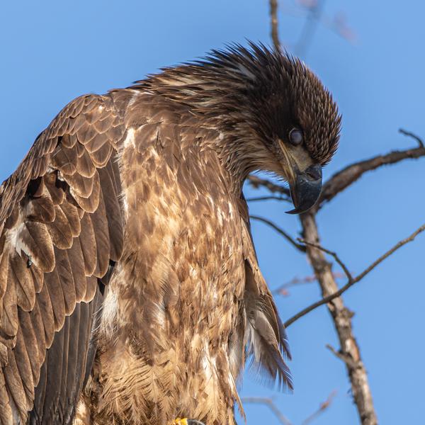 Customer photo 4 of 5. Click to open full size image.