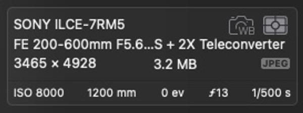 Customer photo 6 of 6. Click to open full size image.