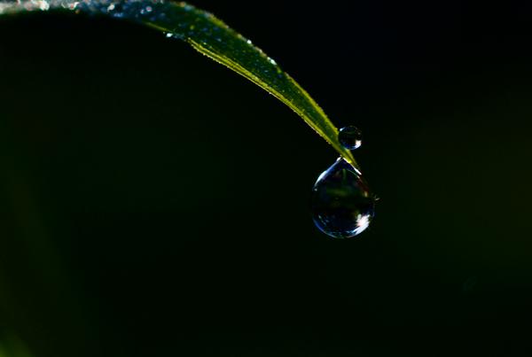 Customer photo 1 of 6. Click to open full size image.