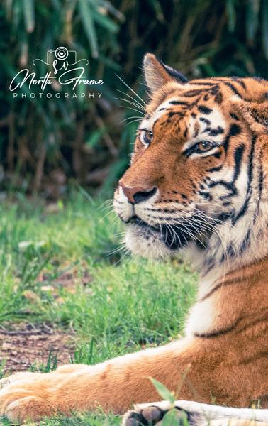 Customer photo 2 of 5. Click to open full size image.