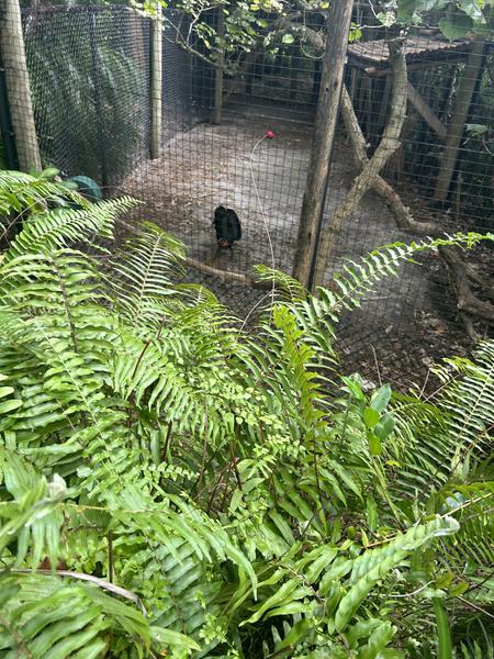 Customer photo 3 of 6. Click to open full size image.