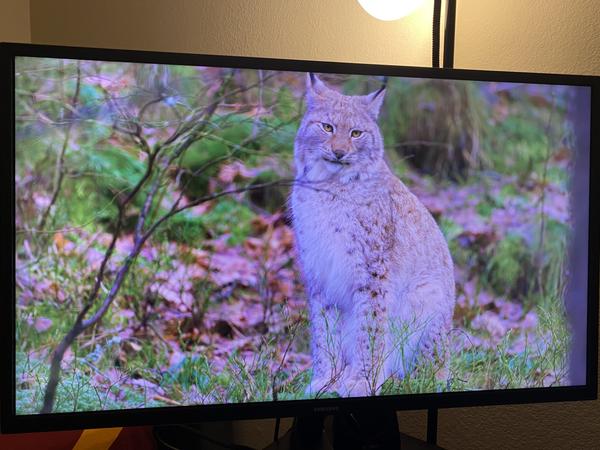 Customer photo 2 of 2. Click to open full size image.