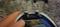 User submitted photo