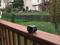 User submitted photo