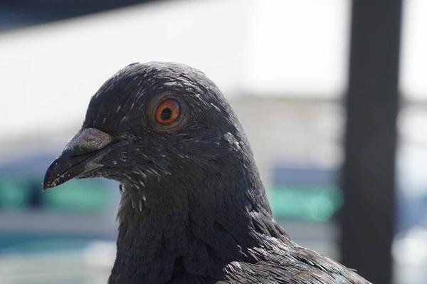 Customer photo 4 of 5. Click to open full size image.