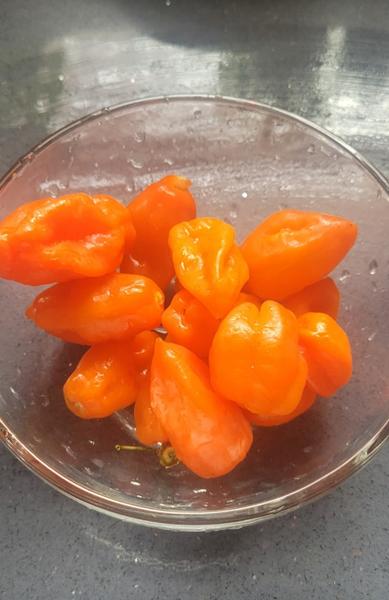 Customer photo 5 of 5. Click to open full size image.