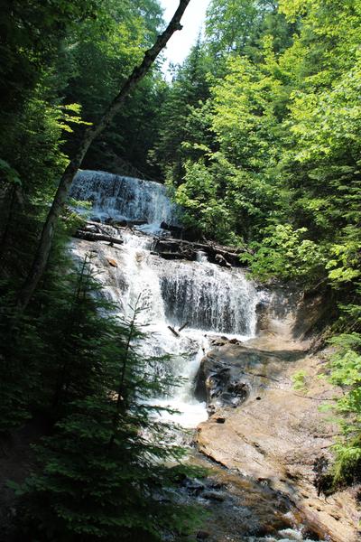 Customer photo 1 of 4. Click to open full size image.