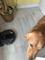 User submitted photo