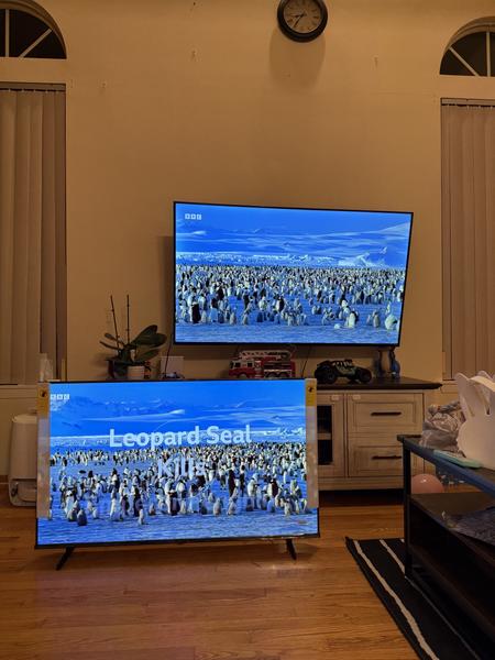 Customer photo 2 of 4. Click to open full size image.