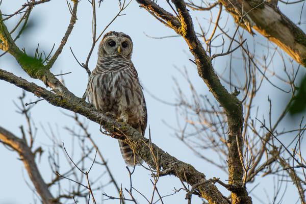 Customer photo 3 of 5. Click to open full size image.