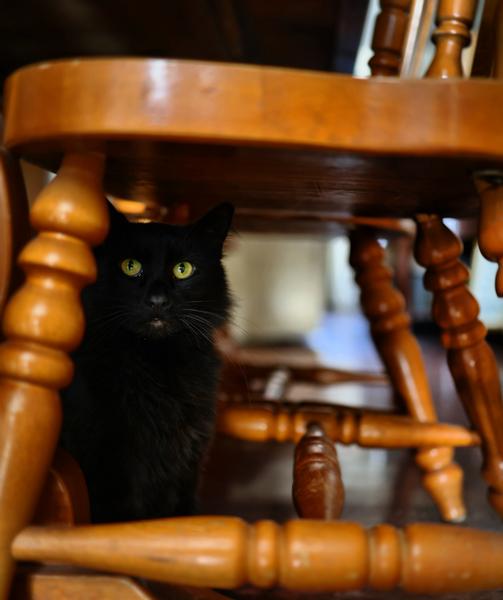 Customer photo 5 of 5. Click to open full size image.