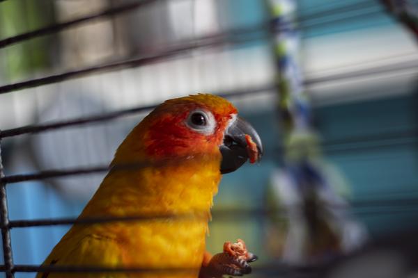 Customer photo 2 of 4. Click to open full size image.