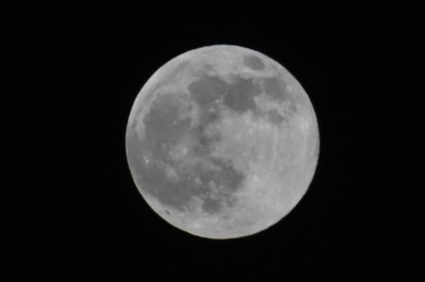 Customer photo 1 of 6. Click to open full size image.