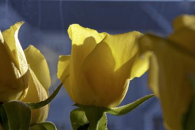 Customer photo 1 of 2. Click to open full size image.