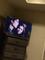 User submitted photo