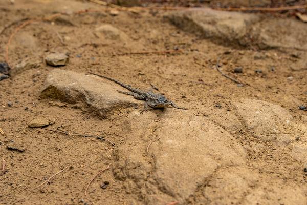 Customer photo 5 of 6. Click to open full size image.