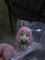 User submitted photo