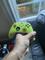 User submitted photo