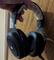 User submitted photo