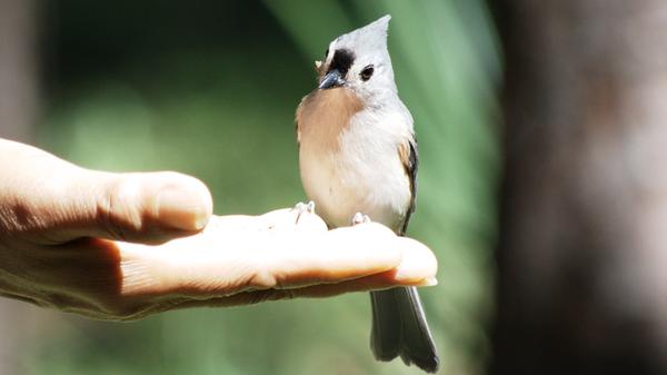 Customer photo 2 of 2. Click to open full size image.