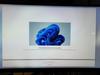 User submitted photo