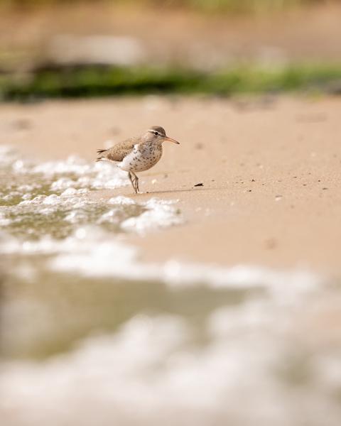 Customer photo 2 of 4. Click to open full size image.