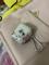 User submitted photo