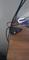 User submitted photo