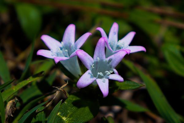 Customer photo 1 of 4. Click to open full size image.