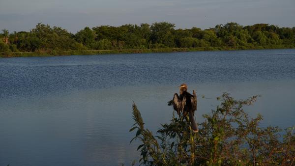 Customer photo 3 of 3. Click to open full size image.