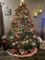 User submitted photo